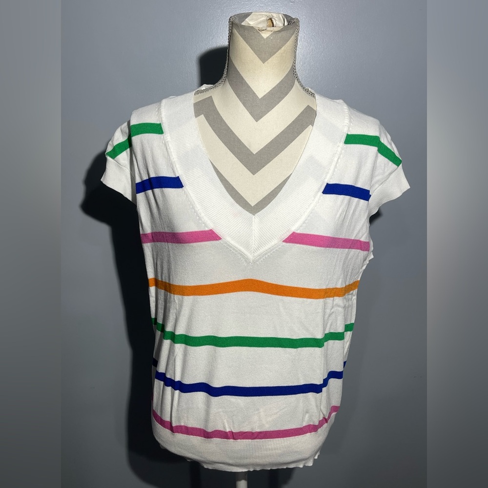 Vine & Love Multicolor Striped V-Neck Tee